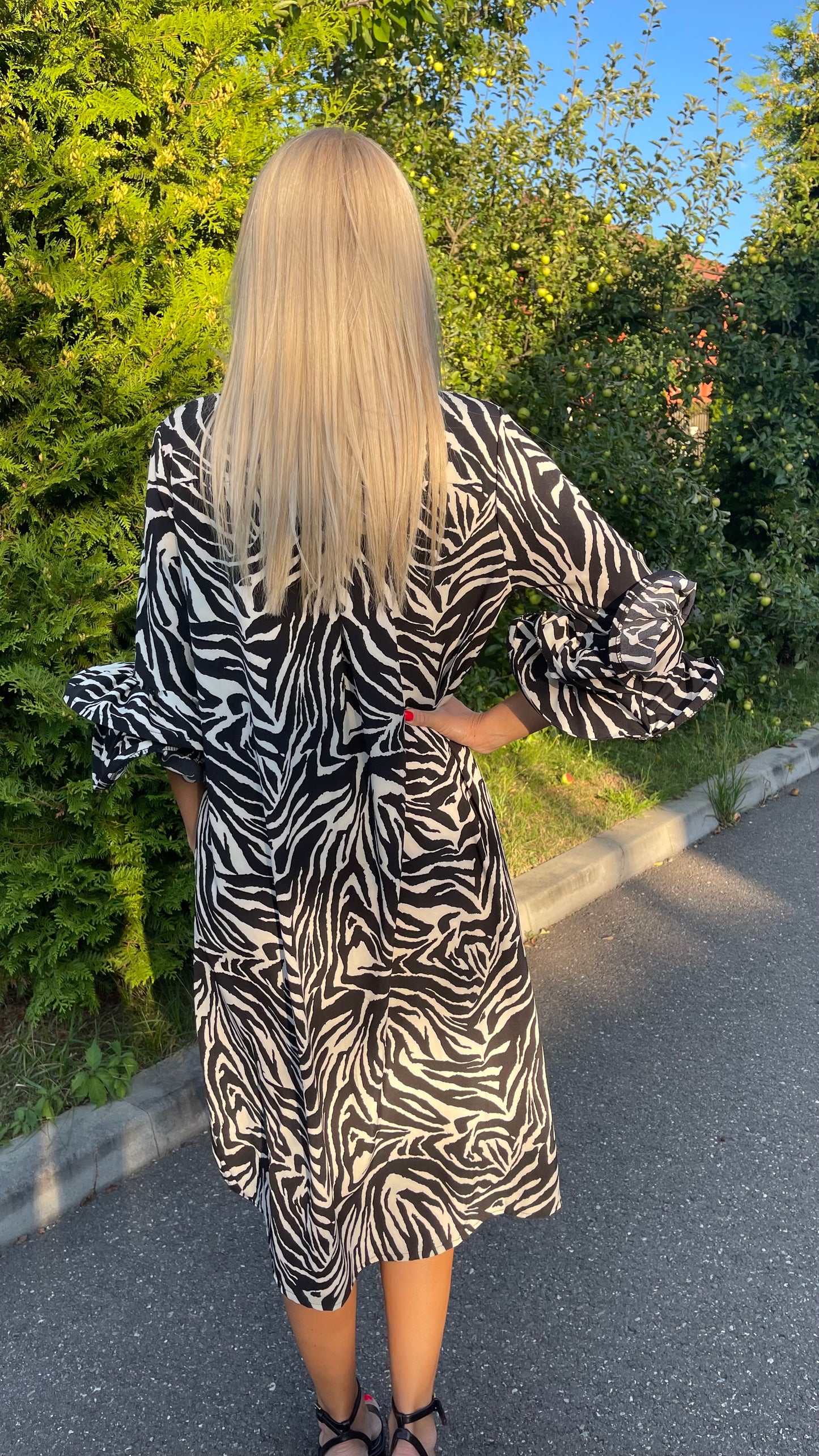 Rochie Zebra II